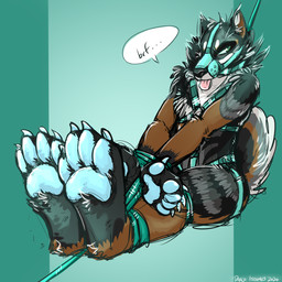 bdsm bondage bound harness male muzzle_(object) muzzled paws restraints rope rope_bondage snout danji-isthmus caim_(chu-tora) canid canine canis domestic_dog mammal shikoku_ken spitz 1:1 digital_drawing_(artwork) digital_media_(artwork) hi_res