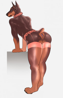anthro anus bent_over brown_body butt choker clothing collar femboy garter_belt garter_straps jewelry legwear lingerie looking_back male necklace presenting presenting_anus presenting_hindquarters raised_tail rear_view ruffled_collar scut_tail short_tail simple_background solo stockings tail tail_anus thick_thighs thigh_highs white_background jetraraven canid canine canis dobermann domestic_dog mammal pinscher hi_res