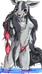 anthro anthrofied bikini breasts clothed clothing female nipples pokemorph simple_background skimpy solo swimwear tail topless two-piece_swimsuit undressing white_background winstar nintendo pokemon canid generation_3_pokemon mammal mightyena pokemon_(species) digital_media_(artwork) low_res oekaki