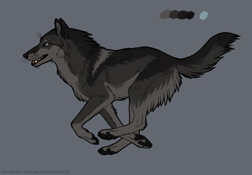 ambiguous_feral ambiguous_gender black_body black_fur black_nose black_pawpads black_tail blue_eyes butt_tuft cheek_tuft color_swatch facial_tuft fangs feral fur grey_background grey_body grey_fur grey_tail neck_tuft open_mouth pawpads running side_view simple_background solo tail teeth text tuft whiskers heatherwolf canid canine canis mammal wolf model_sheet signature url