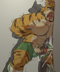 anthro bodily_fluids bottomwear clothing cum cum_on_wall cumshot duo ejaculation footwear genital_fluids male male/male muscular muscular_male shorts socks yellow_body lantiangou felid mammal pantherine tiger hi_res