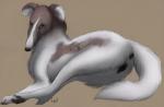 2013 anatomically_correct anatomically_correct_pussy animal_genitalia anus canine canine_pussy dog female feral fur in_heat lying mammal nude on_side paper_wings plain_background pussy smooth_collie solo white_fur
Rating: Explicit
Score: 14
User: tony311
Date: December 24, 2013