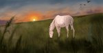 ambiguous_gender feral field field_background grazing light solo steppes sun sunlight sunset rikakarr mary_(bloopertrooper) equid equine horse icelandic_horse mammal female_(lore)