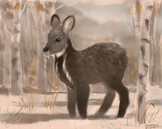 birch_tree black_body black_fur black_nose brown_eyes brown_markings feral fluffy fur inner_ear_fluff markings plant quadruped snow solo tree tuft tusks whisker_markings white_markings alexpahomov mammal moschid musk_deer 2021