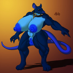 abs anthro areola armor belt big_areola big_breasts big_vulva black_eyes black_sclera blue_areola blue_body blue_fur blue_nails blue_nipples blue_tail blue_vulva breasts brown_background colored_nails female fur genitals gesture gradient_background hand_gesture huge_areola huge_breasts hyper hyper_genitalia hyper_vulva jewelry long_tail muscular muscular_anthro muscular_female nails necklace nipples nude outline paws pointing shadow sharp_nails sharp_teeth simple_background solo standing tail teeth unusual_anatomy unusual_genitalia unusual_vulva vulva yellow_background rashchaos mammal murid murine rat rodent 1:1 absurd_res digital_media_(artwork) hi_res signature