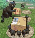 black_body black_ears black_fur black_tail box container feral fur group looking_at_viewer looking_down monotone_body monotone_fur open_mouth quadruped size_difference tail whiskers young matataku white_cat_(taku) domestic_cat felid feline felis mammal dated hi_res