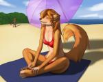 anthro ball barefoot beach beach_ball bikini biped breasts claws clothing cloud detailed_background eyes_closed feet female fur hair inflatable on_towel outside pawpads paws pool_toy red_hair sand seaside sitting sky smile solo swimwear toe_claws toes towel two-piece_swimsuit umbrella water rydenan canid canine canis domestic_dog mammal wolf 2017 5:4