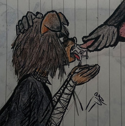 anthro bandage bandaged_arm black_clothing black_shirt black_topwear bodily_fluids brown_hair clothing collar cum cum_in_mouth cum_inside cum_on_face cum_on_hand cum_on_tongue cumshot duo ejaculation female genital_fluids genitals hair knot knotted_penis male male/female open_mouth penis shirt spiked_collar spikes tongue topwear manyanz canid canine canis domestic_dog mammal hi_res