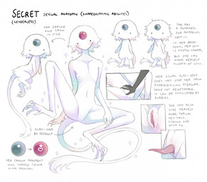 4_toes ambiguous_gender ambiguous_humanoid anthro blush cloacal_penis dot_eyes erection featureless_crotch feet forehead_gem fur gem genitals grey_body grey_hand hair hand_on_crotch humanoid_genitalia humanoid_vulva information monotone_body monotone_fur monotone_tail mouthless noseless orb penis pink_penis ribs simple_eyes slim_ambiguous slim_humanoid solo sparkles tail tail_tuft tapering_penis text toes tuft vulva white_body white_fur white_hair white_tail jejejunum secret_(jejejunum) humanoid spirit 2025 digital_drawing_(artwork) digital_media_(artwork) english_text hi_res model_sheet multiple_images shaded