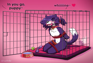 accessory animal_genitalia animal_penis anthro ball bdsm blush blush_lines bodily_fluids bondage bone_gag bound bowl cage canine_genitalia canine_penis chest_tuft collar collar_only collar_tag container dialogue dipstick_tail dog_toy duo erection fluffy fluffy_hair fur gag gagged genital_fluids genitals green_eyes hair hair_accessory hair_tie hands_behind_back heart_eyes heart_symbol kneeling knot knotted_penis leaking_precum legs_tied looking_at_another looking_at_partner male markings nude offscreen_character offscreen_dominant penis pet_bed pet_bowl petplay precum puppyplay purple_body purple_fur purple_hair restraints roleplay rope rope_bondage submissive submissive_anthro submissive_male tail tail_markings tail_motion tailwag tennis_ball text tied_hair tuft white_tail_tip thatbirdboi dog_(somesacredbird) border_collie canid canine canis collie domestic_dog herding_dog mammal pastoral_dog sheepdog 2022 absurd_res english_description english_text hi_res nonbinary_(lore)