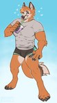 anthro beverage bubble_tea bulge claws clothed clothing dipstick_tail drinking drinking_straw fur heart_symbol inner_ear_fluff male markings muscular muscular_male one_eye_closed orange_body orange_fur shirt solo standing t-shirt tail tail_markings tight_clothing tight_shirt tight_topwear tongue tongue_out topwear tuft underwear seraphictiger canid canine fox mammal red_fox true_fox hi_res