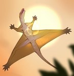 5_toes ambiguous_feral ambiguous_gender blurred_background day feet feral gliding lens_flare looking_down low-angle_view membrane_(anatomy) open_mouth orange_sky outside patagium plant pupils quadruped scales sky snout solo spread_legs spreading sun tail toes worm's-eye_view yellow_body yellow_eyes yellow_membrane yellow_scales yellow_tail combos-n-doodles prehistoric_species reptile scalie sharovipteryx 2025 absurd_res hi_res