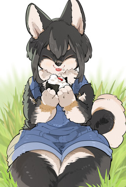 anthro bangs black_body black_fur black_hair clothing denim denim_clothing eating eyes_closed female food fur grass hair holding_food holding_object overalls plant sitting solo sushi tail thick_thighs tongue tongue_out osakanasankan canid canine canis domestic_dog mammal shiba_inu spitz hi_res