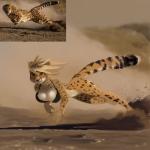 anthro big_breasts blonde_hair bottomless bra breasts clothed clothing female fur hair humor looking_at_viewer outside real realistic_shading solo underwear shnider cheetah felid feline mammal 1:1 absurd_res hi_res redraw reference_image