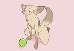 anthro ball balls barely_visible_balls barely_visible_genitalia blep bodily_fluids genitals male nude saliva saliva_string solo tennis_ball tongue tongue_out securipun jackie_(securipun) canid canine fennec_fox fox mammal true_fox hi_res