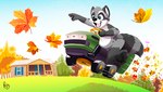 anthro building grass house lawn_mower leaf male plant solo pandapaco mammal procyonid raccoon