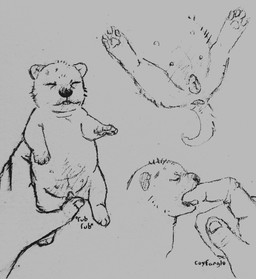 age_difference animal_genitalia animal_vulva anus bestiality canine_genitalia canine_vulva clitoral clitoral_rubbing disembodied_hand eyes_closed female feral finger_in_mouth finger_suck genitals human_on_feral interspecies lying neonate nipples on_back pawpads rubbing_vulva size_difference solo solo_focus spread_legs spreading sucking suckling tongue tongue_out vulva young young_feral coyfang10 canid canine canis domestic_dog human mammal absurd_res graphite_(artwork) greyscale hi_res monochrome sketch traditional_media_(artwork)