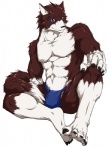 abs anthro asian_clothing biceps biped blue_eyes bottomwear brown_body brown_fur bulge claws clothed clothing dipstick_tail east_asian_clothing fundoshi fur gloves_(marking) japanese_clothing leg_markings loincloth looking_at_viewer male markings muscular muscular_anthro muscular_male pecs pose red_body red_fur sitting socks_(marking) solo tail tail_markings toe_claws topless underwear white_body white_fur suruga canid canine canis domestic_dog mammal