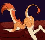 absurd_res all_fours anthro anus ass_up athletic athletic_anthro athletic_female big_breasts breast_squish breasts butt female fur furniture genitals giraffe giraffid hair hi_res horn long_legs long_neck long_tail looking_at_viewer looking_back mammal mane mane_hair maris_(xzorgothoth) mohawk narrowed_eyes nipples nude orange_body orange_fur orange_hair orange_mane ossicone pose presenting presenting_anus presenting_hindquarters presenting_pussy pussy rear_view smile smirk sofa solo squish striped_body stripes tail tail_tuft tall tuft very_long_neck white_stripes xzorgothoth yellow_eyes