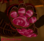 anthro claws close-up clothing depth_of_field feet foot_fetish foot_focus glowing hypnosis leggings legwear male mind_control pawpads paws solo vrchat_model sarcobutter vrchat silva_(sarcobutter) felid feline lynx mammal mayu_(azuki) animated animated_png frame_by_frame hi_res short_playtime