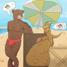 anthro ball_bulge beach bodily_fluids clothing cock_vore duo genital_fluids genitals haven't_seen_them leaking_precum male male/male outside penile penis precum public public_nudity safe_vore speedo swimwear vore karamelkobold karamel_kobold bear kobold mammal scalie 1:1 pictographics
