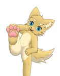 anthro blue_eyes fur legs_up male nude pawpads paws pink_pawpads simple_background solo tail white_background yellow_body yellow_fur pawer hi_res