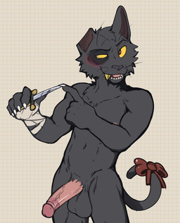 anthro balls bandage bandaged_arm black_body black_fur bow_ribbon bruised bruised_eye erection fur genitals gold_(metal) gold_tooth humanoid_genitalia humanoid_penis knife male nude_anthro nude_male penis solo tail jrjresq tussle_(jrjresq) domestic_cat felid feline felis mammal hi_res