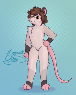 anthro brown_eyes brown_hair fur gradient_background grey_body grey_fur hair looking_at_viewer male messy_hair paws simple_background solo standing magnettolive dewi_(yivarld) american_opossum mammal marsupial hi_res