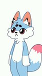 anthro blue_body blue_fur dancing dipstick_tail fur humor male markings pink_eyes pink_tail_tip solo tail tail_markings alexumka kosha umkashka canid canine canis domestic_cat domestic_dog felid feline felis fox lagomorph leporid mammal rabbit animated meme