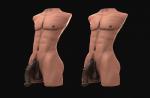 abs anatomically_correct animal_genitalia animal_genitalia_on_humanoid animal_penis anthro balls butt equine_genitalia equine_penis genitals half-erect male muscular muscular_anthro muscular_male nipples nude pecs penis simple_background solo standing torso hastegan humanoid mammal 2017 3d_(artwork) digital_media_(artwork) hi_res