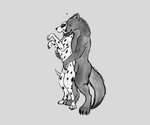 animal_genitalia anthro claws collar duo feral fur genitals hug hugging_another hugging_from_behind male male/male markings on_hind_legs paws sheath smile spots spotted_body spotted_fur zirius canid canine canis dalmatian domestic_dog mammal wolf 6:5 absurd_res hi_res