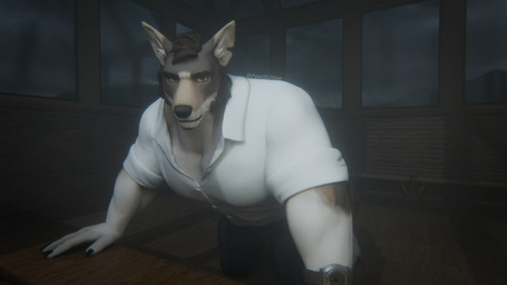 anthro blue_bottomwear blue_clothing blue_pants bottomwear brown_hair clock clothing front_view gym hair leaning_on_object male pants seductive shirt solo topwear watch white_clothing white_shirt white_topwear yellow_eyes pearlh2hoe echo_(series) echo_project the_smoke_room william_adler canid canine canis coyote mammal 16:9 hi_res widescreen