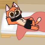 anthro bed bedroom black_clothing black_scarf black_underwear brown_pupils bulge clothing fur furniture male orange_body orange_fur pupils scarf solo underwear young young_anthro tinky tinky_(character) domestic_cat felid feline felis mammal 1:1 low_res