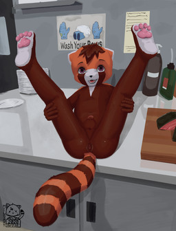 anthro anus arm_support balls black_nose brown_body brown_fur brown_hair brown_tail butt container countertop dispenser extended_legs fur genitals glistening glistening_pawpads hair hands_on_legs hands_on_own_legs hands_on_own_thighs hands_on_thighs hands_under_legs holding_both_legs holding_both_thighs holding_legs_up legs_up looking_at_viewer looking_through looking_through_legs male markings navel nude on_counter open_mouth orange_body orange_fur orange_tail pawpads penis perineum pink_pawpads plate presenting purple_eyes ring_(marking) ringed_tail sitting solo spread_legs spreading striped_markings striped_tail stripes tail tail_markings teeth tongue two_tone_tail year young young_anthro miloart shortcat ailurid mammal red_panda 2020 dated hi_res signature