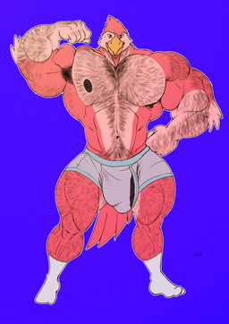 5_fingers abs anthro areola arm_hair arm_tuft armpit_hair barazoku barely_visible_genitalia barely_visible_penis beak beak_closed belly_hair biceps big_bulge big_muscles big_pecs biped blue_background body_hair briefs brown_areola brown_nipples brown_penis bulge chest_hair closed_smile clothed clothed_anthro clothed_male clothing countershade_arms countershade_face countershade_feathers countershade_legs countershade_torso countershading deltoids elbow_tuft feathers fingers fist flexing flexing_bicep footwear front_view genitals gloves_(marking) hairy hand_hair hand_on_hip hand_on_own_hip happy_trail huge_bulge huge_muscles huge_pecs humanoid_hands latissimus_dorsi leg_hair looking_at_viewer male male_anthro manly markings monotone_background mouth_closed multicolored_body multicolored_feathers muscular muscular_anthro muscular_arms muscular_male muscular_thighs navel nipples non-mammal_navel non-mammal_nipples outline pecs penis pink_body pink_feathers plantigrade quads red_body red_eyes red_feathers shoulder_hair simple_background smile smiling_at_viewer socks solo standing stubble tail tail_feathers topless topless_anthro topless_male triceps tuft two_tone_body two_tone_feathers underwear vein veiny_penis white_outline yellow_beak sharf navi_(navisdx) avian bird 2025 digital_drawing_(artwork) digital_media_(artwork) flat_colors full-length_portrait hi_res portrait signature
