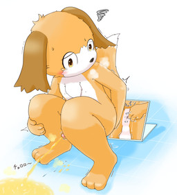 3_toes 5_fingers after_fingering after_masturbation ambiguous_fluids anal anthro anus backsack balls bathroom belly black_nose blush blush_lines bodily_fluids brown_ears chest_tuft crouching dripping feet fingers floor fur genital_fluids genitals kemono male masturbation mirror mirror_reflection motion_lines nipples nude nude_anthro nude_male orange_body orange_eyes orange_fur peeing penis reflection shota solo sweat sweatdrop tears tile tile_floor toes tuft urinal urine urine_pool urine_stream watersports white_belly white_body white_fur young young_anthro young_male tawa_1908 canid canine canis domestic_dog mammal 2023 absurd_res hi_res