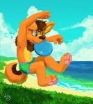 4_toes adolescent anthro barefoot beach claws clothed clothing detailed_background feet frisbee frisbee_in_mouth jumping male outside pawpads paws pink_pawpads plantigrade playing sand sea seaside sky soles solo toes underwear underwear_only water young young_anthro pandapaco rijan canid canine canis domestic_dog mammal absurd_res hi_res