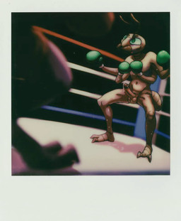 2_toes 4_arms antennae_(anatomy) anthro balls black_eyes bodily_fluids boxing boxing_gloves brown_glans clothing darkened_genitalia darkened_glans dripping duo erection feet fighting_ring genital_fluids genitals glans green_eyes green_sclera handwear humanoid_genitalia humanoid_penis male mandibles multi_arm multi_limb nude nude_anthro nude_male penis precum precum_drip sport sweat tan_balls tan_body tan_penis toes twunk chirasul anthony_(zuzu) ant arthropod hymenopteran insect