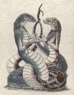 anthro apode blue_body blue_scales bracelet breasts brown_eyes duo earhole entwined entwined_tails featureless_breasts gesture hand_gesture hand_holding jewelry legless looking_at_another love loving_gaze markings multicolored_body necklace nude orange_body orange_scales scales serpentine tail tail_coil tribal two_tone_body ventral_scales white_body white_scales russell_tuller draconcopode naga scalie 2015 hi_res traditional_media_(artwork)