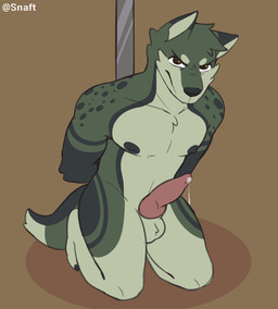 animal_genitalia animal_penis anthro arms_tied balls biped black_nipples bodily_fluids bound canine_genitalia canine_penis countershading cum erection fur fur_markings genital_fluids genitals kneeling knot leaking_cum looking_at_viewer male markings multicolored_body multicolored_fur multicolored_tail nipples nude penis pole precum simple_background solo tail snaftfc canid canine mammal 2020 digital_media_(artwork) hi_res