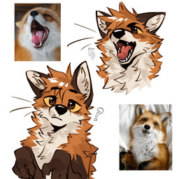 ambiguous_gender black_body black_fur brown_eyes claws countershade_fur countershading fangs feral fluffy fur gaping_mouth head_tilt head_tuft open_mouth orange_body orange_fur paw_pose paws pose quadruped question_mark sharp_teeth simple_background solo teeth tongue tongue_out tuft white_background white_body white_fur yawn yellow_sclera atkaso pedro_(atkaso) canid canine fox mammal red_fox true_fox 1:1 2026 digital_drawing_(artwork) digital_media_(artwork) hi_res reference_image