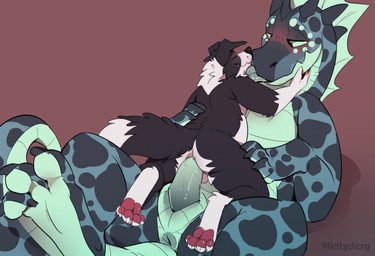 anal anal_penetration anthro anthro_on_feral anthro_penetrated anus balls bestiality black_body black_fur blue_body blush countershade_face countershade_feet countershade_hands countershade_neck countershade_tail countershade_torso countershading cowgirl_position duo erection eyes_closed feet feral feral_penetrating feral_penetrating_anthro from_front_position fur genitals larger_feral larger_male licking lying male male/male male_anthro male_feral male_penetrated male_penetrating male_penetrating_male nude nude_anthro nude_male on_back on_bottom on_top overweight overweight_anthro overweight_feral overweight_male pawpads penetration penile penile_penetration penis penis_in_ass sex simple_background size_difference smaller_anthro smaller_male smaller_penetrated tail tapering_penis teal_body teal_eyes teal_penis tongue tongue_out white_body white_fur mintyderg mythology chess_(mintyderg) minty_(mintyderg) aquatic aquatic_dragon border_collie canid canine canis collie domestic_dog dragon herding_dog mammal mythological_creature mythological_scalie pastoral_dog scalie sheepdog 2026 hi_res