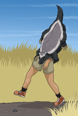 ambiguous_feral ambiguous_gender ambiguous_pred black_body black_fur bodily_fluids bottomwear brown_eyes bulge clothed clothed_human clothed_male clothing duo feral feral_pred footwear fur grey_body grey_fur head_first human_prey larger_human larger_male male male_human male_prey oral_vore outside partially_inside saliva shoes shorts size_difference smaller_ambiguous smaller_feral smaller_pred tail vore whiskers strega badger honey_badger human mammal mustelid musteline hi_res