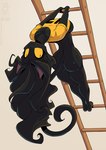 anthro arched_back big_breasts black_body black_fur black_hair breasts butt climbing_ladder clothed clothing female fur hair ladder long_hair long_tail pantsless pupils shirt slit_pupils solo tail topwear upside_down yellow_eyes conditional_dnp jollyjack domestic_cat felid feline felis mammal