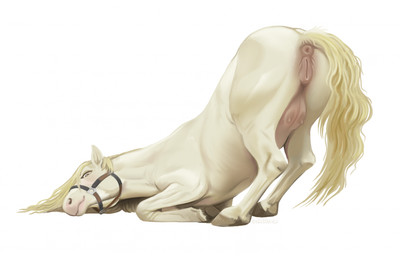 anatomically_correct anatomically_correct_anus anatomically_correct_genitalia anatomically_correct_vulva animal_genitalia animal_vulva anus ass_up blonde_mane butt equine_anus equine_genitalia equine_vulva female female_feral feral fur genitals hair hooves mane presenting presenting_anus presenting_hindquarters presenting_to_viewer presenting_vulva puffy_anus quadruped simple_background smile smiling_at_viewer solo tail teats vulva white_background white_body white_fur white_hair white_tail digitoxici equid equine horse mammal 2026 colored digital_drawing_(artwork) digital_media_(artwork) hi_res shaded