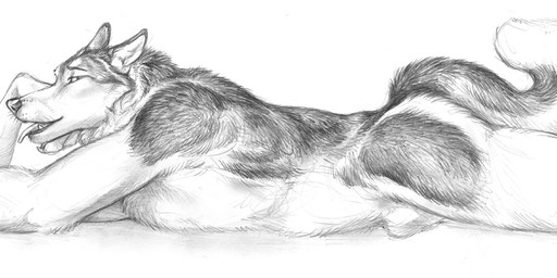 animal_genitalia anthro biped casual_nudity curled_tail ears_back fully_sheathed fur genitals looking_at_viewer lying male male_anthro nude nude_anthro nude_male on_front pivoted_ears pointy_ears pose prick_ears sheath side_view simple_background solo tail tongue tongue_out white_background blotch scratches_volume_3 canid canine canis domestic_dog husky mammal nordic_sled_dog spitz 2009 black_and_white hatching_(art) line_art monochrome portrait shaded simple_shading three-quarter_portrait traditional_media_(artwork)