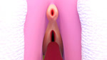 5_fingers ambiguous_gender ambiguous_pov anus clothing cunnilingus cunnilingus_pov duo female female/ambiguous female_focus fingers first_person_view fur genitals gloves handwear jewelry licking oral pink_body pink_fur pussy sex tongue tongue_out vaginal hibiscus_tea sega sonic_the_hedgehog_(series) amy_rose sonic_the_hedgehog eulipotyphlan hedgehog mammal 16:9 2018 3d_(artwork) 3d_animation animated digital_media_(artwork) loop no_sound short_playtime webm widescreen