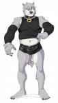 anthro belly black_clothing black_eyes black_nose bulge clothed clothing collar erection fur grey_body grey_fur male penis simple_background solo standing tight_clothing white_background analon_(artist) wolfalon_(analon) canid canine canis mammal wolf 2016 digital_media_(artwork) hi_res