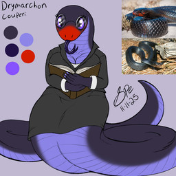 anthro apode big_breasts big_tail black_bottomwear black_clothing black_jacket black_skirt black_topwear book bottomwear breasts claws cleavage clothed clothing countershade_scales countershading eyelashes eyewear facial_markings female finger_claws forked_tongue front_view fully_clothed glasses glistening glistening_eyes head_markings holding_book holding_object jacket legless librarian long_neck long_tail long_tongue looking_at_viewer markings nerd non-mammal_breasts pince-nez purple_body purple_claws purple_countershading purple_eyes purple_scales purple_tongue red_markings scales serpentine skirt snout snout_markings solo suit tail tapering_tail thick_tail tongue tongue_out topwear ventral_scales spe colubrid draconcopode eastern_indigo_snake indigo_snake naga reptile scalie snake snake_naga 1:1 2025 dated digital_drawing_(artwork) digital_media_(artwork) flat_colors hi_res model_sheet procreate_(artwork) reference_image signature