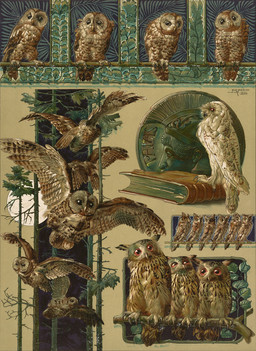 3_toes ambiguous_gender art_nouveau beak big_pupils black_beak black_eyes branch brown_beak brown_body brown_feathers coin curious feathered_wings feathers feet feral flying front_view german_artist group happy in_flight leaning moon no_sclera on_book on_branch orange_eyes perching plant plumicorns pupils ruffled_feathers shy side_view simple_background tail tail_feathers talons tan_background tan_beak toes tree trio white_body white_feathers wings anton_seder public_domain avian barred_owl bird horned_owl owl snowy_owl strix_(genus) true_owl 1899 19th_century ancient_art dated green_theme hi_res lithograph_(artwork) multiple_scenes signature traditional_media_(artwork)